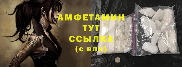 стаф Арсеньев