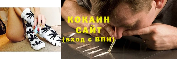 стаф Арсеньев