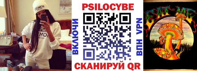 гидра tor  Пущино  Псилоцибиновые грибы Psilocybine cubensis 