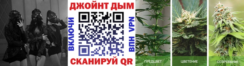 хочу   Пущино  Конопля план 